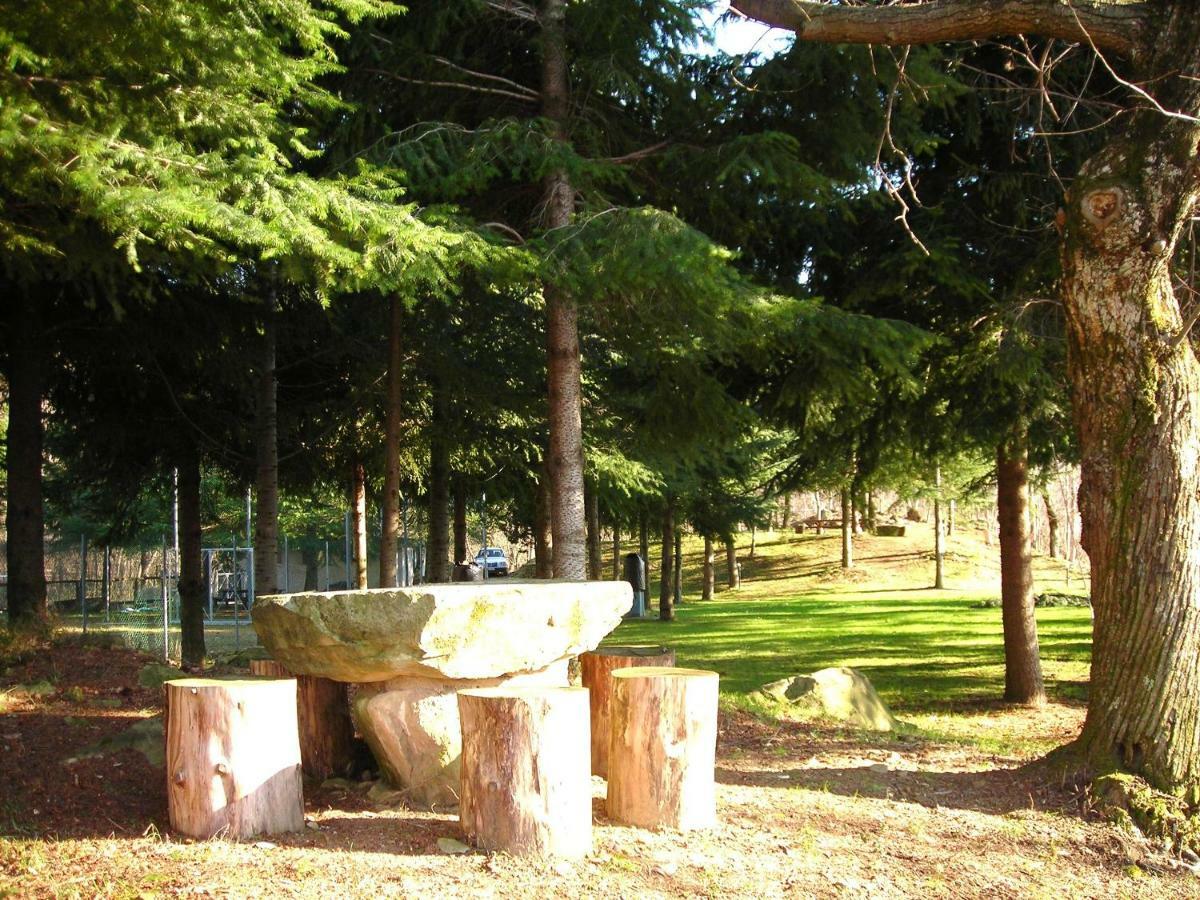Camping Grondola - Federicofarm Pontremoli Room photo